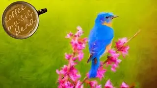 YCG - Bluebird (Act 1) 👇 Relaxed Blend Playlist