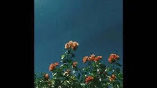 &ldquo;𝐒𝐘𝐑𝐔𝐏.