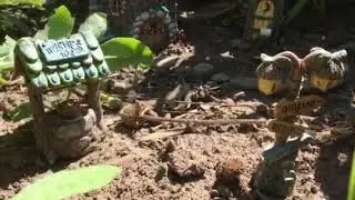 Fairy Garden Tour