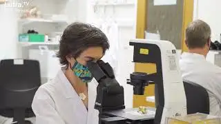 Intro to Cyanobacteria