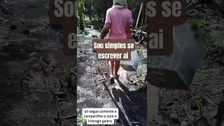 #seinscrevanocanaleativeosininho #plantas #vidanaro&ccedil;a @Arievilo.o