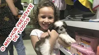 O MELHOR PRESENTE DE TODOS - ganhei uma cachorrinha
