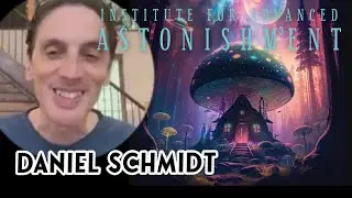 Daniel Schmidt - The Wayless Way of Awakening
