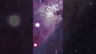 Orion Nebula by Andrew McCarthy