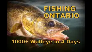 Walleye Fishing Lac Suel Fish Camp #ontario  #fishontario #walleye