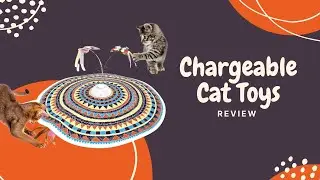 Keep Your Cat Happy Potaroma Chargeable Cat Toys Review!