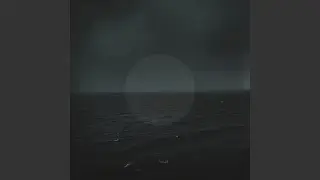 Spotlight