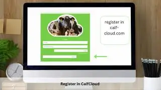 CalfCloud | First steps