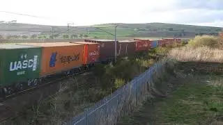 86605 and 86614