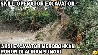 Skill Operator Excavator || Aksi Excavator Merobohkan Pohon di Aliran Sungai @Chrisone983 