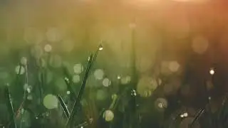 Bast bad music