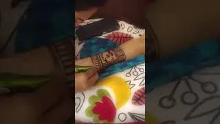 manasu mamata serial heroine  getting ready for seethama function