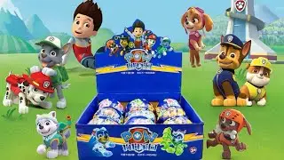 Paw Patrol Pup House Blind Box Unboxing | Calm Reveal & Close-Up Details | Oddly Satisfying ASMR