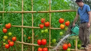 Full video: 120 days to build a new house, garden, and pigsty.