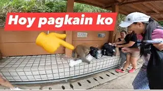 Naagawan kami ng pagkain ni moymoy @shing mun county park