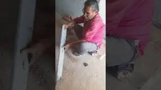बाथरूम ग्रेनाईट दरबाजा चौखट कैसे बनाए//🙏💓💯👍#design #doorframes #doordesign #hirasingh Pal #tiles 