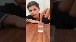 Fevikwik Simple Science Experiment #experiment #shorts