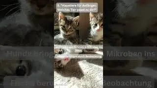 Haustiere f&uuml;r Anf&auml;nger: Welches Haustier passt zu Dir?