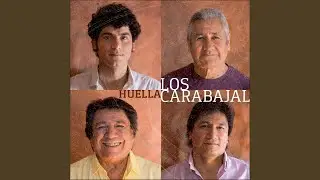 De Mis Pagos