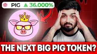 Is New Pig Token Worth Buying? Pig Token Finance Crypto passive earn 6.8X BNB  income