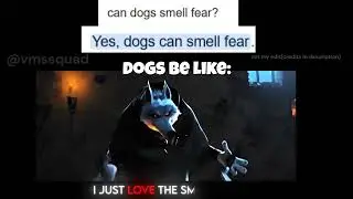 can dogs smell fear?