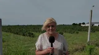 Jakie umiejętności zdobywają uczestnicy szkoleń w firmie Proinvest?