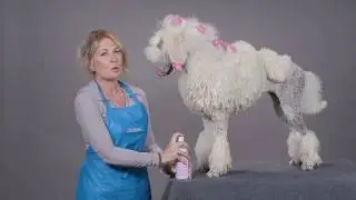 Chris Christensen Spectrum One Shampoo