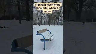 snow covered Vienna #europetravel #europe #shorts #snow #travel #austria #india #nature #winter