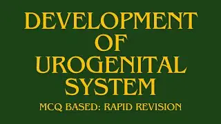 Development of urogenital system (UGS), development of kidney, development of testis #embryology