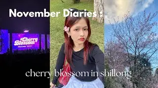 VLOG : cherry blossom festival 2024 🌸🎧, trip with friends,🎐concerts, cozy vlog🎏, fall diaries etc.