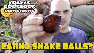WHAT IS A SNAKE FRUIT AND WHAT DOES IT TASTE LIKE? KRAZYS COOKBOOK EXOTIC FRUITS SPECIAL
