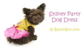 Sydney Party Dog Dress