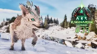 ARK: Survival Ascended &ndash; Ragnarok (Modded) #35: Buggy Veilwyns