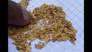 The price of Bolivia's gold boom