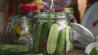 5 Reasons Why Pickles are the Weird New Ride Snack You Need to Try
