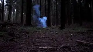 Flashb&ouml;ller