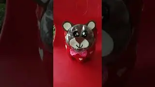 recycle plactic #7up bottle #flower pot #DIY #cat and teddy bear 🌱