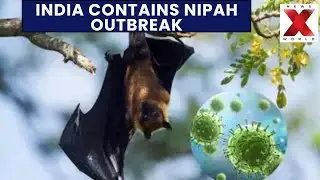 Nipah Virus Cases in India:India contains Nipah outbreak as Asia tightens checks| NewsX World