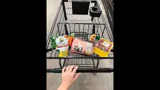 $10 RAW shopping haul for my dogs! 🥩🐕 #shorts