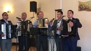 Puiu Chibici,fratii Strugariu & Ionut Gontaru