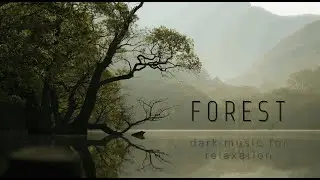 Relax music | Gloomy atmosphere of the forest