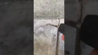 Small spider vs big ant. Don&rsquo;t judge the book by it&rsquo;s cover! #power #unbelievable #youtube #amazing