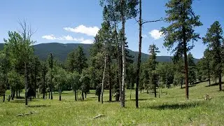 Explaining license requirements to access Colorado State Wildlife Areas