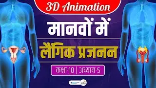 Sexual Reproduction in Human 3D Animation | Class 10 Sexual Reproduction in Human