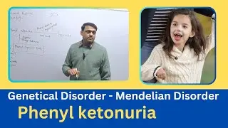 Phenylketonuria|| Mendelian Disorder|| Genetical Disorder #phenylketonuria #mendeliandisorder #neet