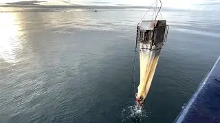 125 years Belgica vlog 8: The PS134 Southern Ocean Jellyfish (SO-JELLY) team