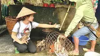 I am a Vietnamese woman who rescues animals