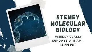 STEMEY Molecular Biology Class 5: Cellular Organization and Organelles Part 1