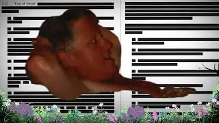 #HW-334 ~ Die Epstein-Files