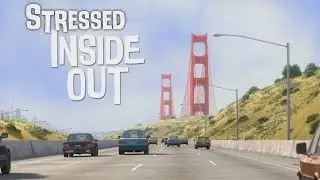 Stressed Inside Out